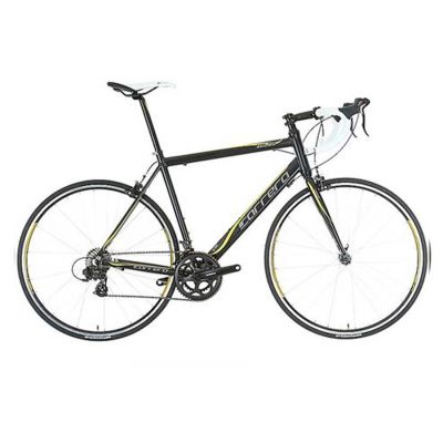 Carrera Zelos Limited Edition 2013 Large